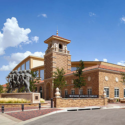 A building with a statue in front of it.